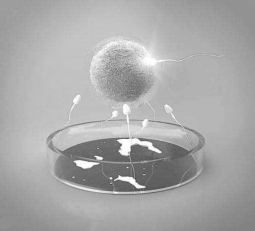 老公如何配合老婆做试管婴儿