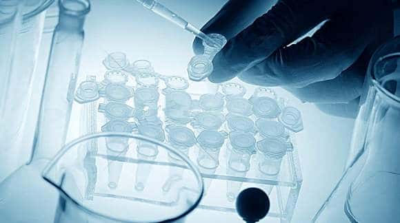 泰国试管婴儿来说,目前都是采用的先进的第三代试管技术