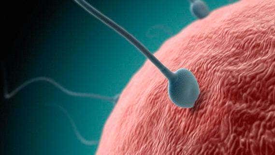 导致男性不孕一般来说有以下几个方面