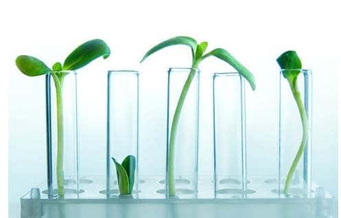 胚胎移植后要注意这些事