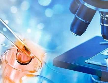 胚胎移植后多久可以验孕