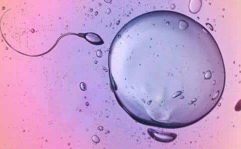 移植成功是我们每个做试管婴儿的妈妈最期待的结果