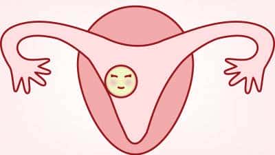 科学的囊胚培育时间