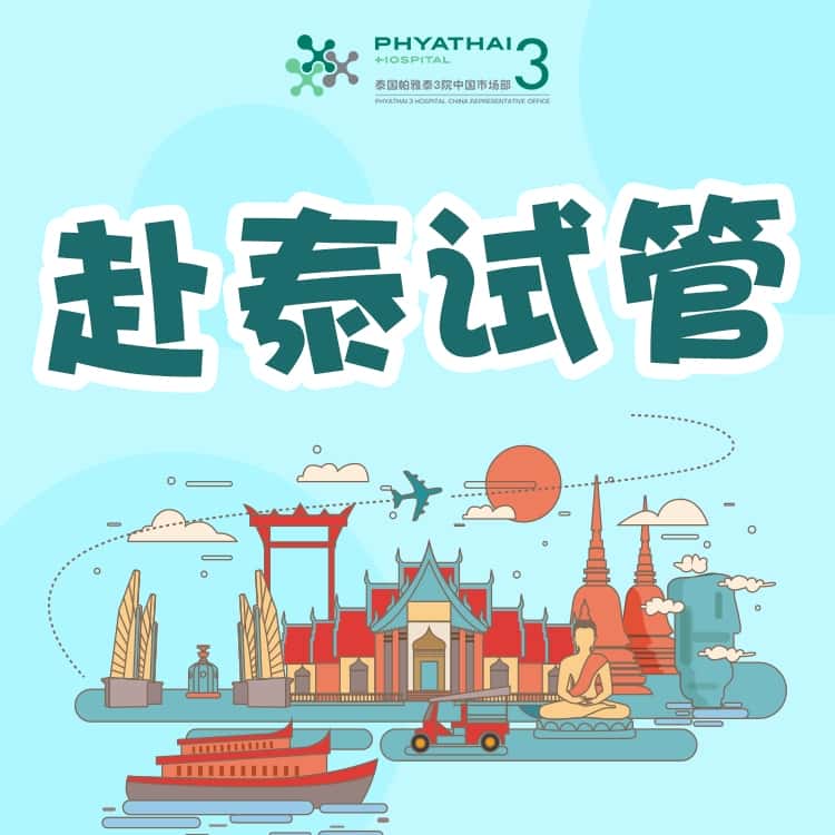 帕雅泰3试管科室