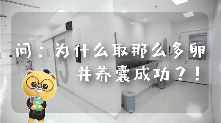 成功率往往是最关心的问题