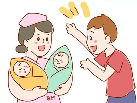 为什么要移植2个胚胎?有风险吗?