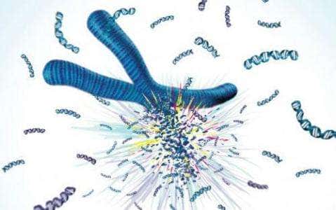 第三代试管婴儿技术