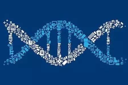 查5对和查23对有什么区别？