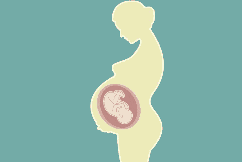 胚胎培养的所需