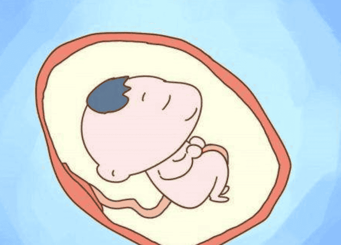 为什么要把胚宝宝分成三六九等？