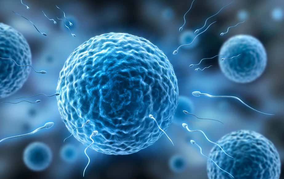 泰国试管婴儿需要投入的时间