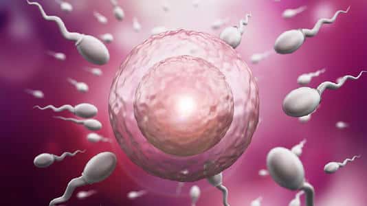 那么泰国试管婴儿的医疗优势有哪些?