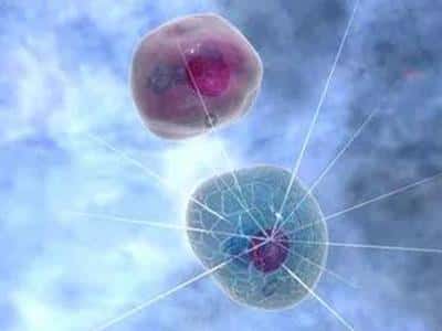 什么是泰国试管婴儿辅助孵化?