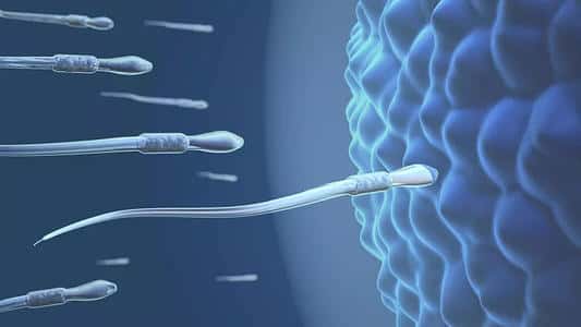 泰国试管婴儿辅助孵化有风险吗?