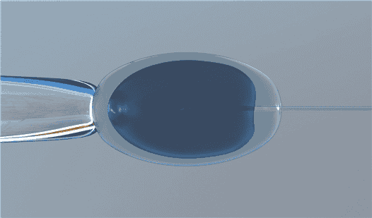 世界顶尖医疗技术水平