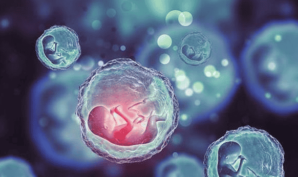 泰国试管婴儿对比国内有哪些优势?