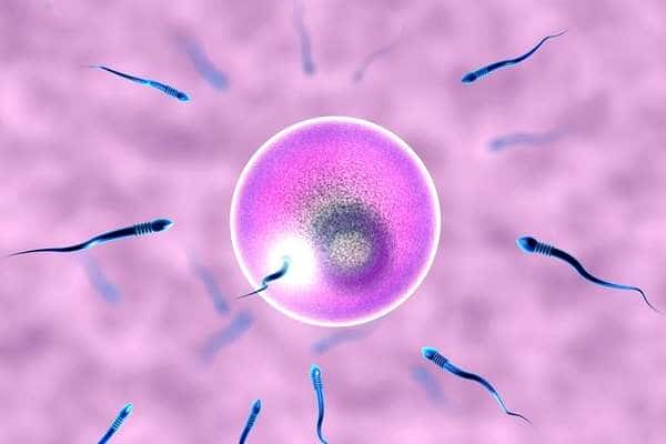 影响成功率的因素有“非常之多”