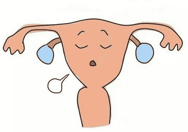 提高试管成功率