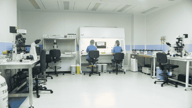 泰国试管帕雅泰3的胚胎学家们