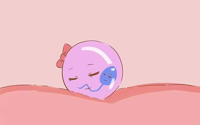 正常情况下,女性子宫内膜的厚度在5毫米到10毫米不等