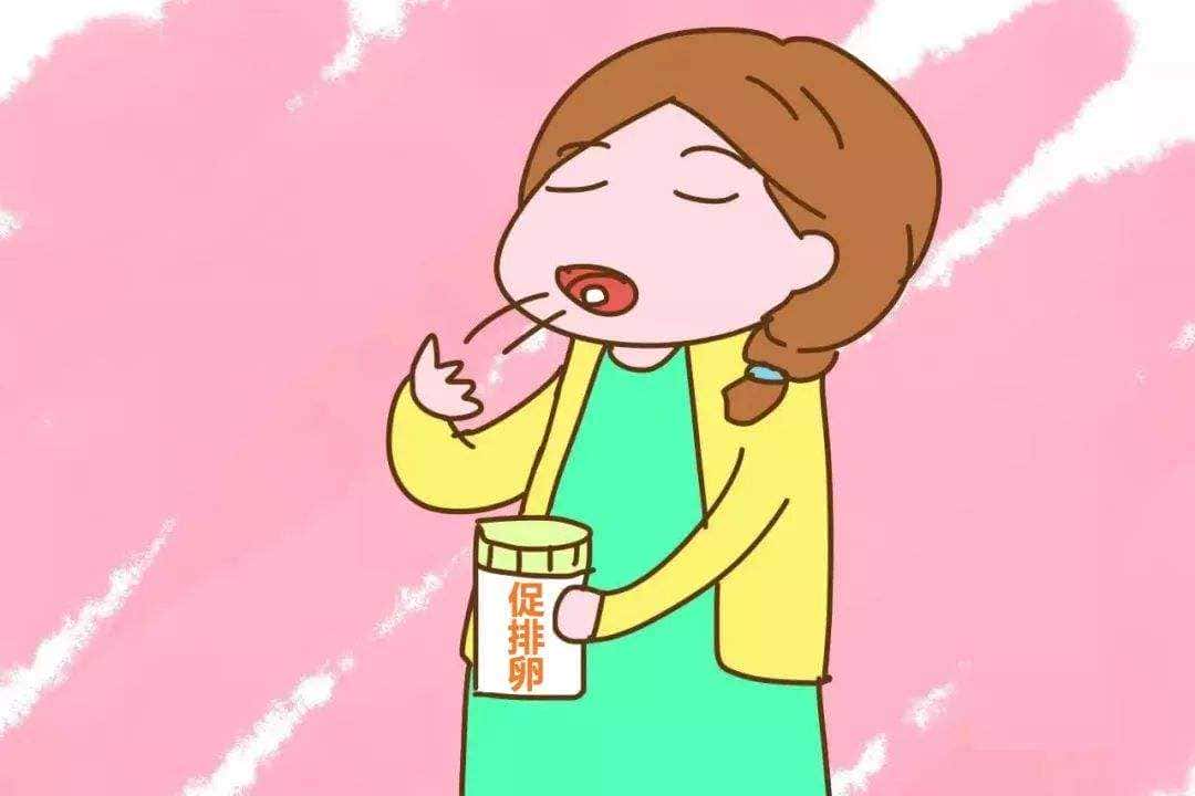 试管婴儿的治疗过程