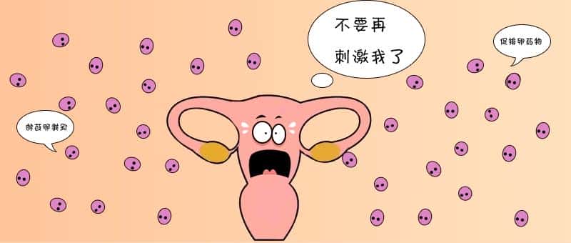 试管婴儿的治疗中会出现腹水