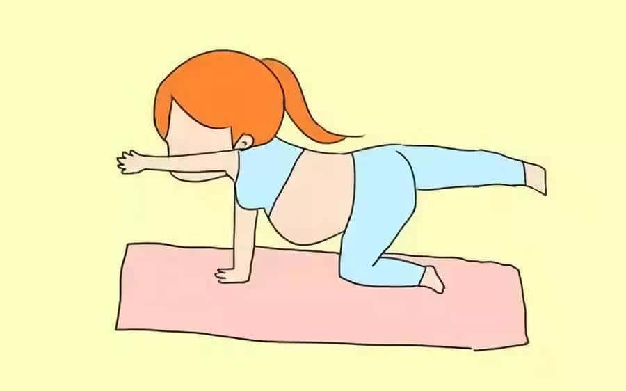 增强体质和免疫力