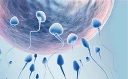泰国试管婴儿“洗精术”你知多少?