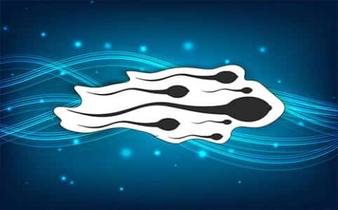 常用的精子洗涤方法