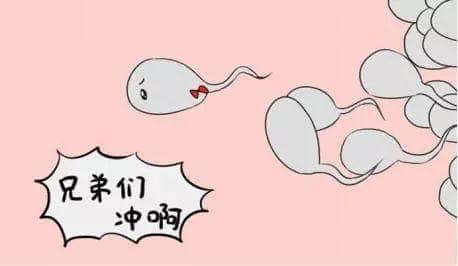 男方影响因素主要是精子质量