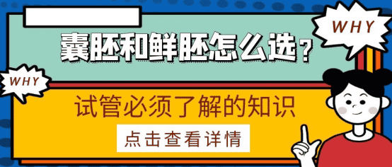 泰国试管婴儿胚胎移植成功率及优点