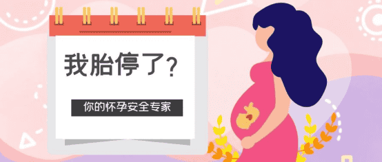 胎停之后,你们是多久再次怀孕的?泰国试管