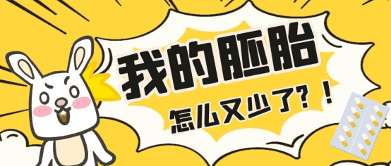 泰国试管养囊技术,试管养囊的过程有哪些?