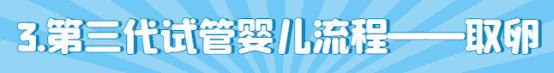 泰国试管婴儿流程取卵