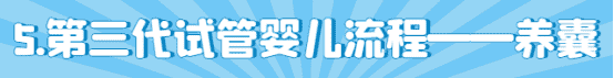 泰国试管婴儿流程养囊