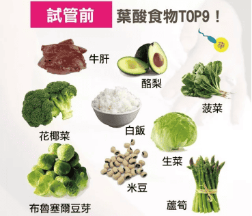 在试管婴儿期间服用叶酸可以提高成功率