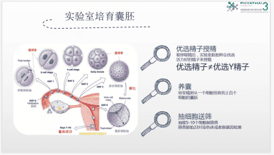 影响试管婴儿成功率和以下几种因素