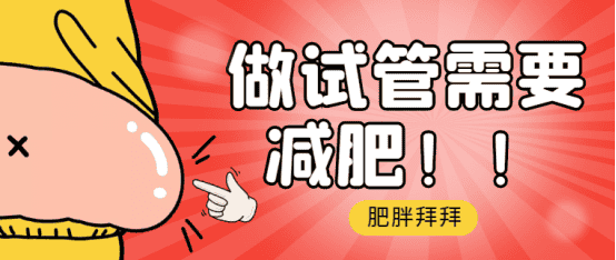 做泰国试管前需要减肥吗