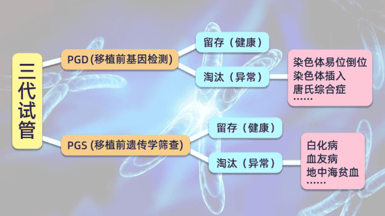 为什么三代试管的成功率要高一些呢？