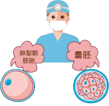 大概率的避免了试管婴儿携带遗传疾病基因，泰国试管三代技术