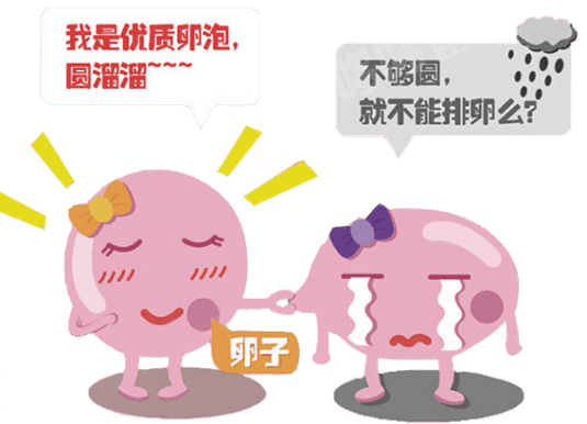 帕雅泰3泰国试管婴儿知识：如何调理