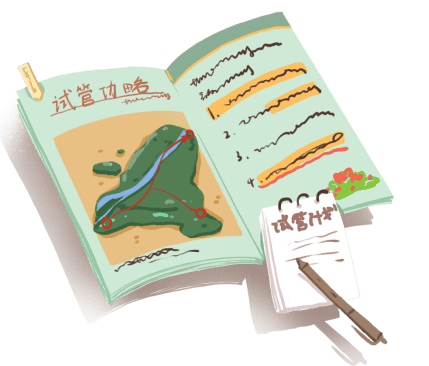 试管婴儿饮食调理