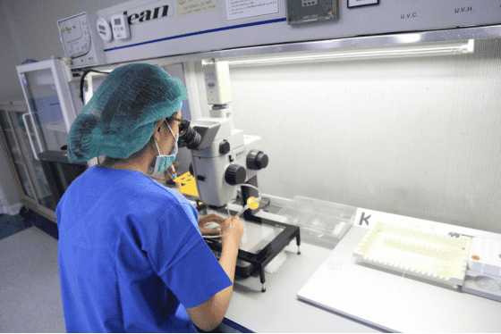 帕雅泰3泰国试管婴儿知识:三代试管婴儿