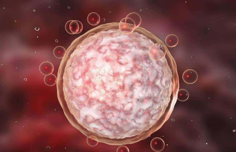 那促排药物的作用是什么？对女性身体伤害到底有多大？-泰国试管婴儿帕雅泰3